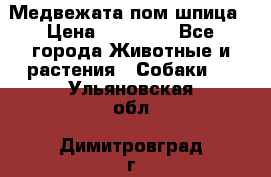 Медвежата пом шпица › Цена ­ 40 000 - Все города Животные и растения » Собаки   . Ульяновская обл.,Димитровград г.